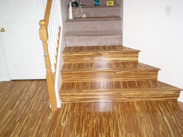 Bamboo Stairs (tigerwood)